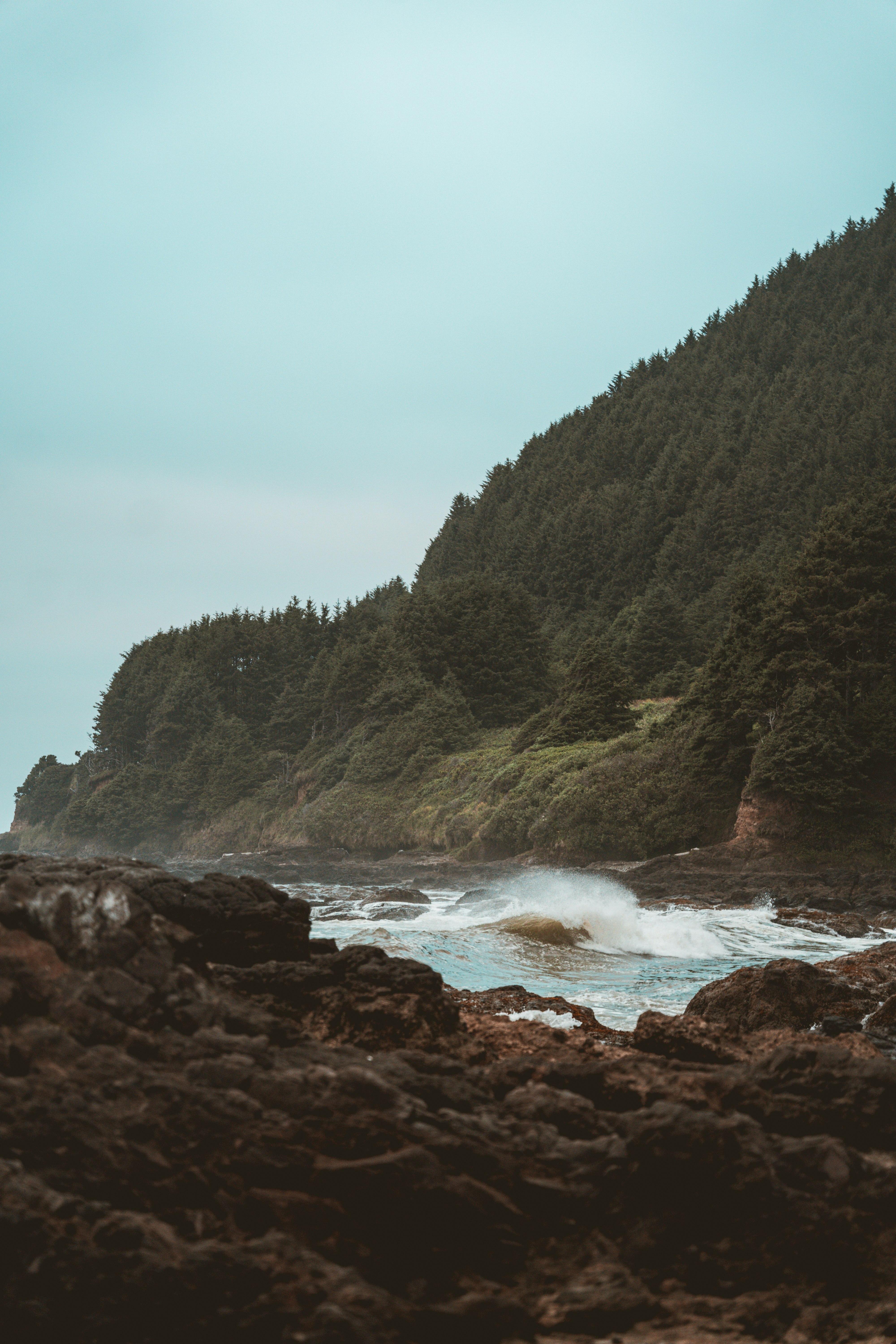 green trees on brown rock formation near body of water during daytime